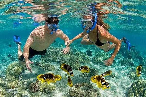 Mnemba Island Dolphins & Snorkeling