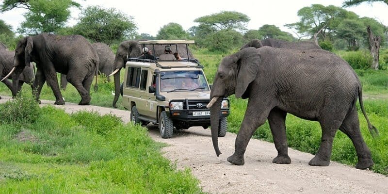 7 Days Ultimate Zanzibar & Tanzania Safari