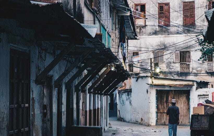 Jozani Forest, Spice Tour & Stone Town Walk